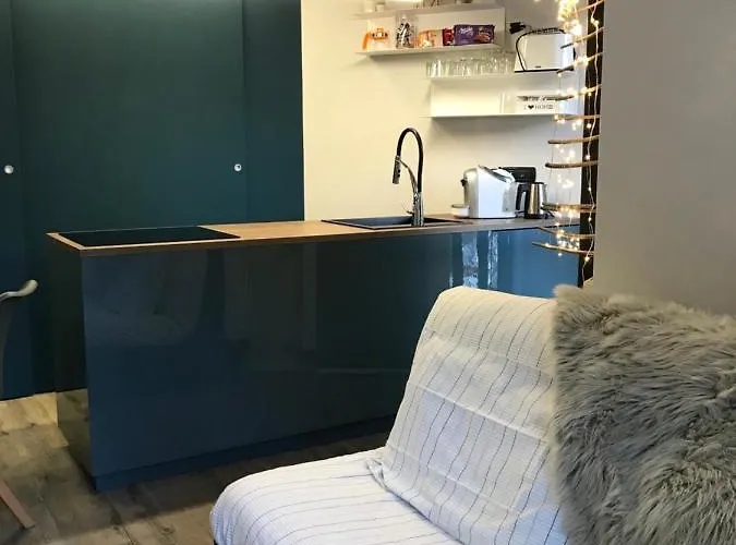 1000 Emozioni 公寓 利莫内皮埃蒙特